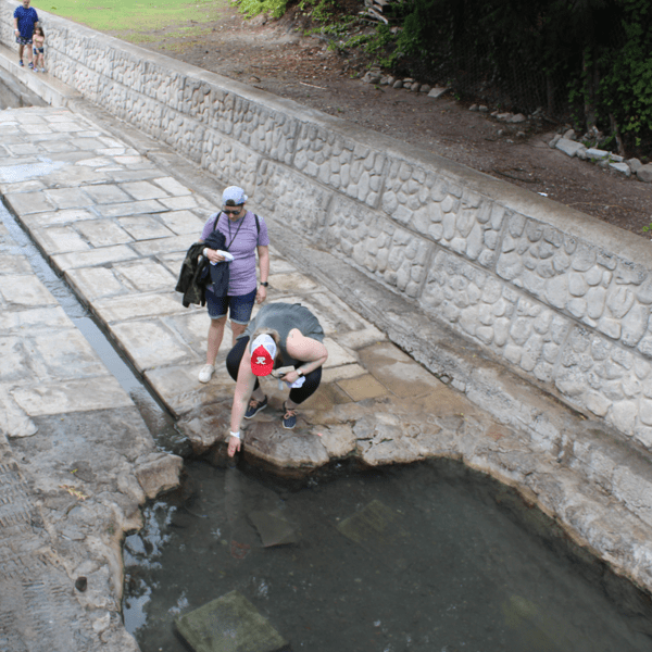 Discover Nevis Island Tour