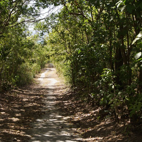 Mountravers Hike Nevis