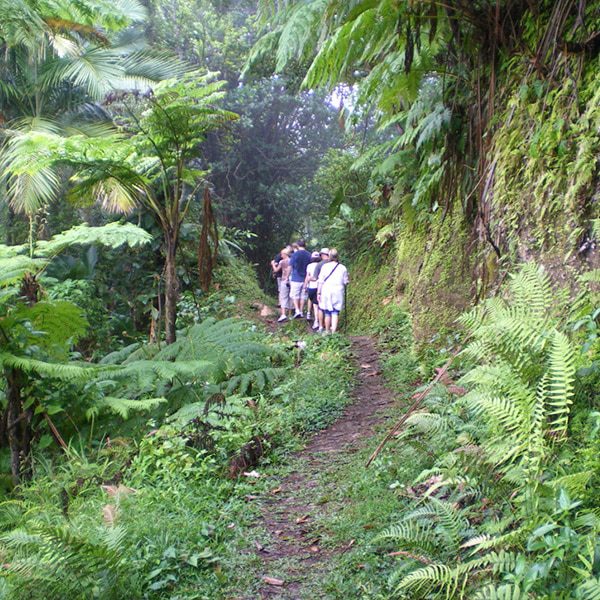 Nevis Hiking Trails