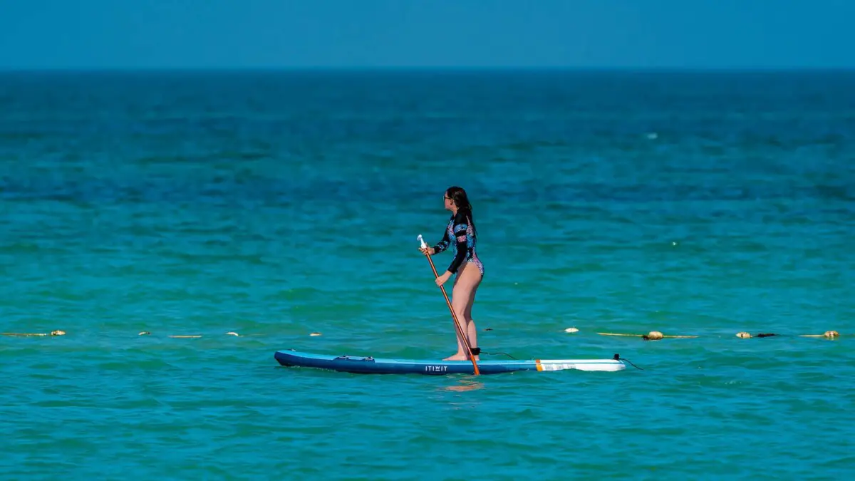 Stand Up Paddle Board