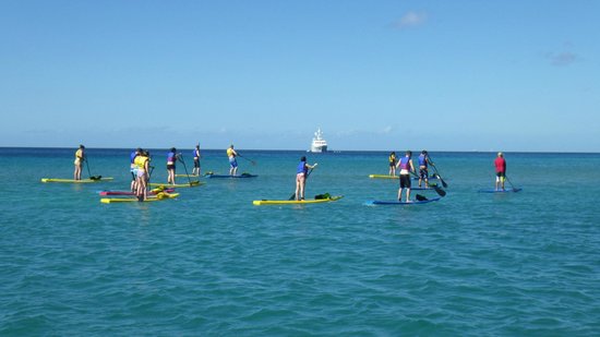 Stand Up Paddle Boarding in St. Kitts