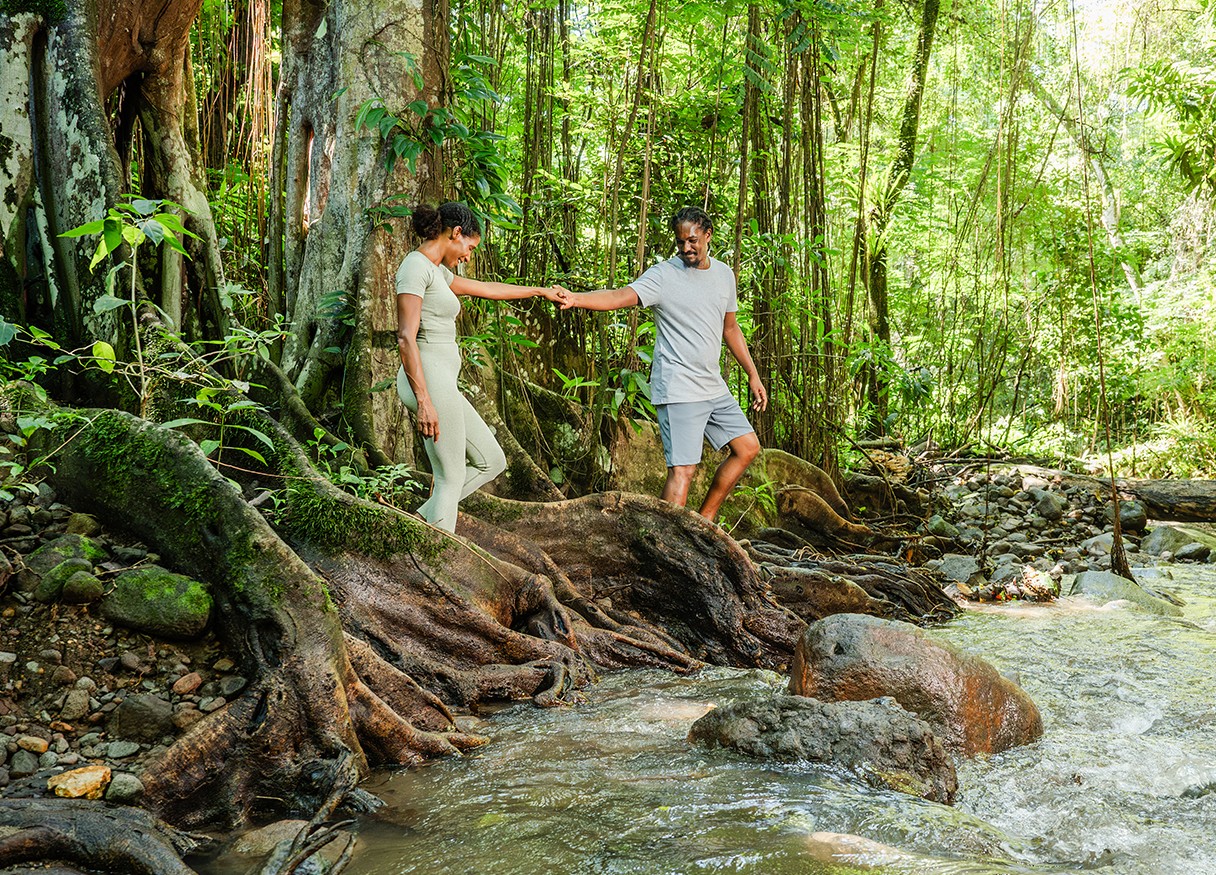 St. Kitts Rainforest Nature Trail